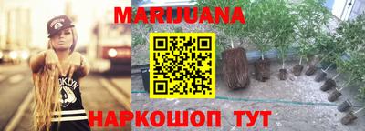 соль ск Славгород