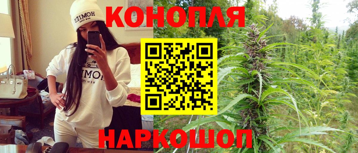 Каннабис OG Kush Обнинск